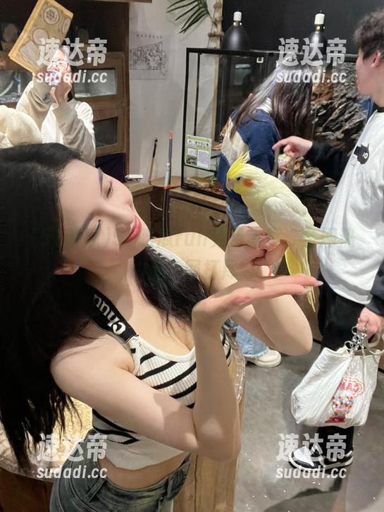51吃瓜fun免费首页，全网热点一网打尽