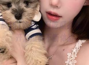 51吃瓜今日吃瓜必吃，登录后开启瓜事不断体验