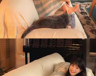 安卓观看51吃瓜今日吃瓜必吃胖猫精彩瞬间