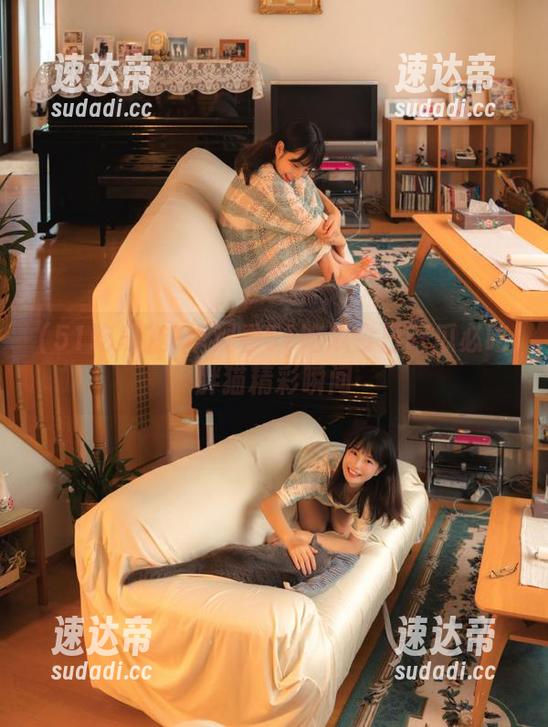 安卓观看51吃瓜今日吃瓜必吃胖猫精彩瞬间