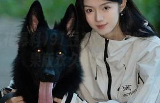 91豆花爆料网吃瓜黑料苹果版永久收藏技巧