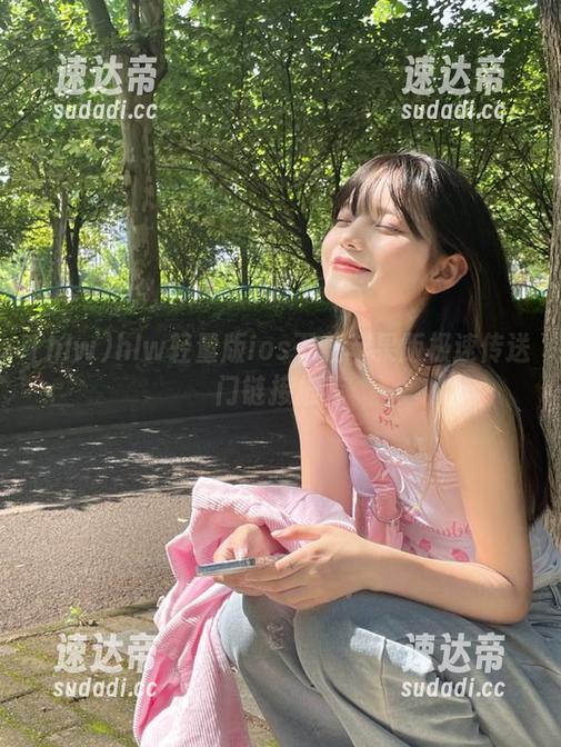 hlw轻量版ios下载苹果版极速传送门链接推荐