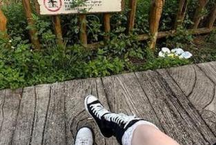 吃瓜网址发布页入口登录界面美观，操作简单又快速
