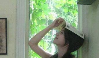 吃瓜网址发布页苹果版新版本发布，精彩瓜事实时更新