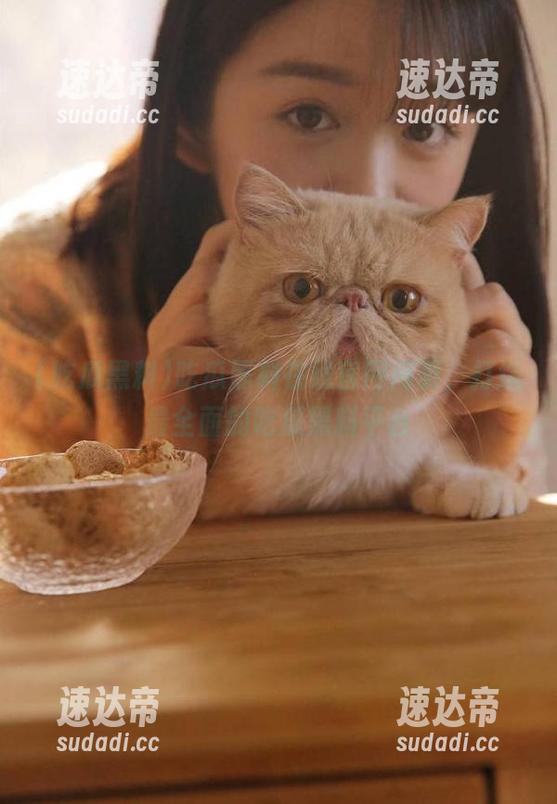 吃瓜黑料在线官网网页，打造最全面的吃瓜黑料平台
