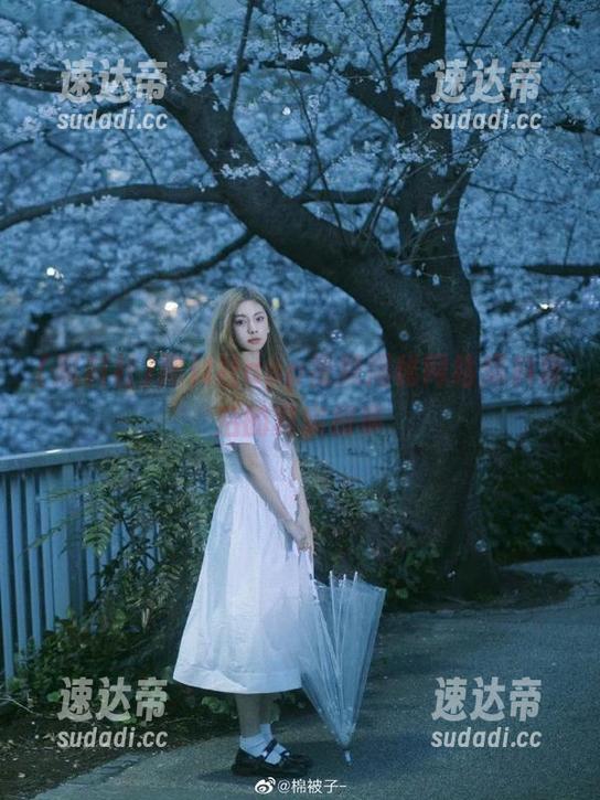 黑料社app视频揭秘网络爆料背后的真实故事